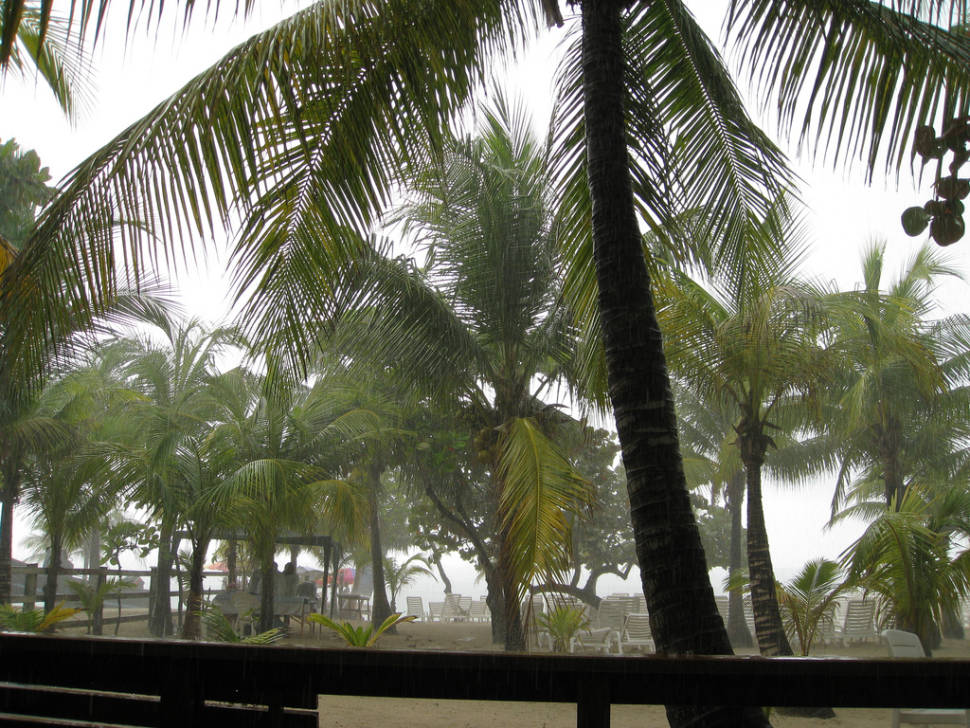 A sudden rain storm, one hour later from the photo above