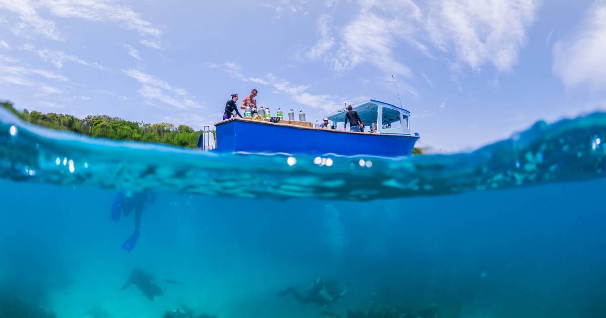 Diving in Honduras - Best Time