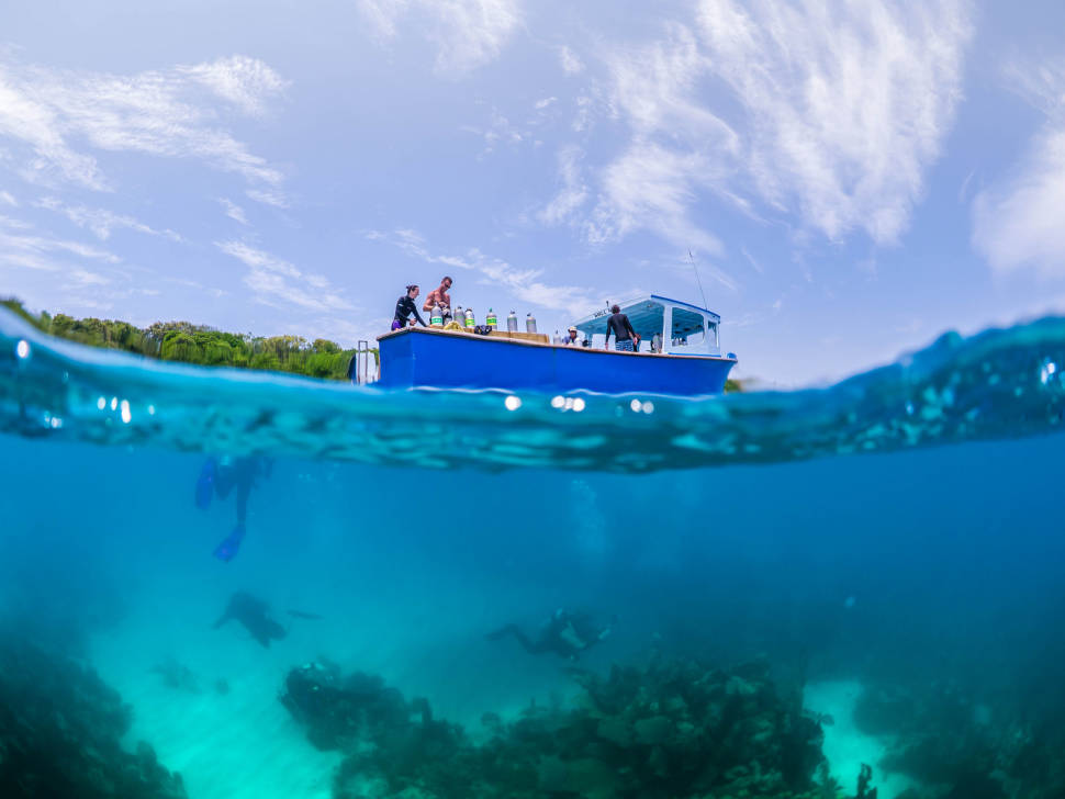 Diving in Honduras - Best Time