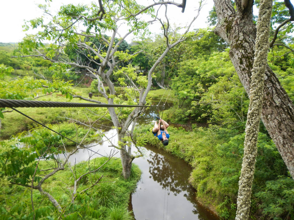 Best time for Ziplining on Roatán in Honduras