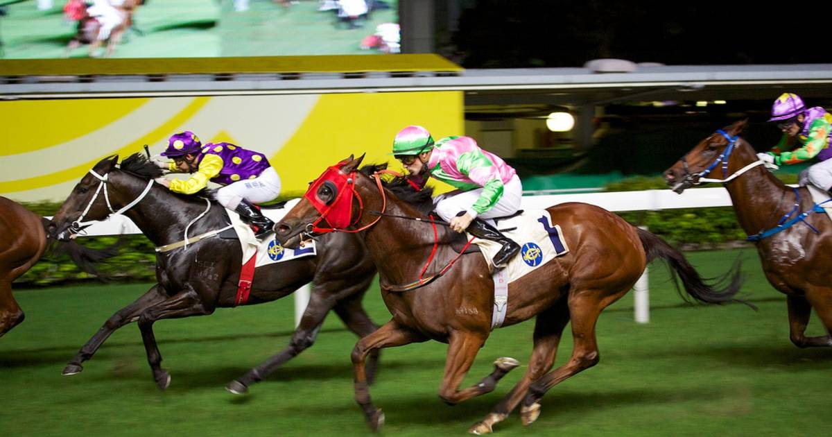 Horse Racing in Hong Kong - Best Time