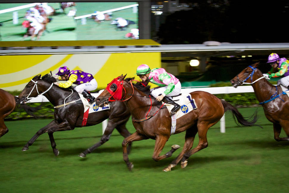 Horse Racing in Hong Kong - Best Time