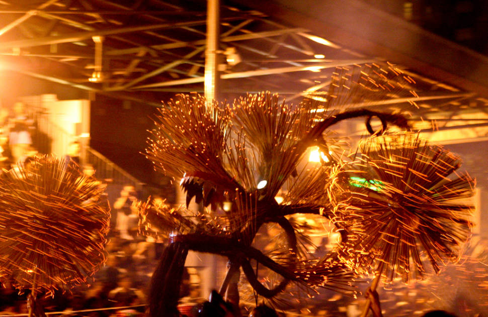 Fire Dragons