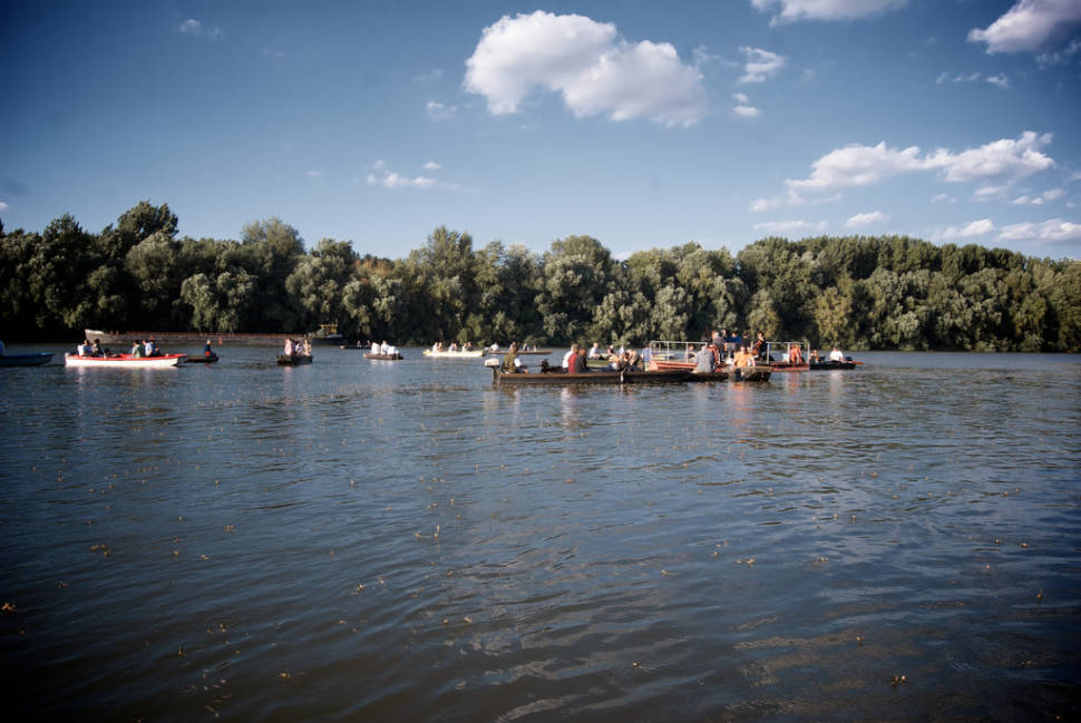 Best time for Blooming of the Tisza in Hungary