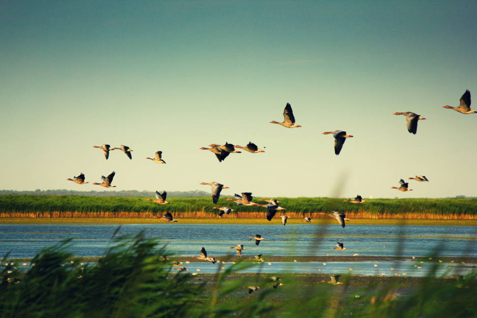 Best time for Hortobágy National Park in Hungary