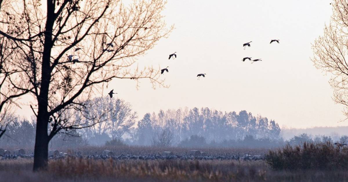 Hortobágy National Park in Hungary - Best Time