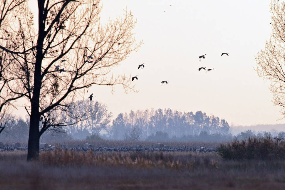 Hortobágy National Park in Hungary - Best Time