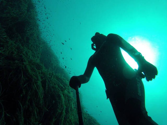 Diving in Ibiza in Ibiza - Best Season
