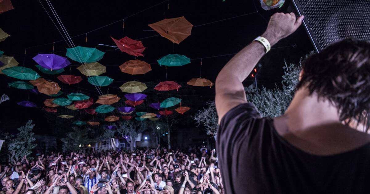 The Zoo Project in Ibiza - Best Time