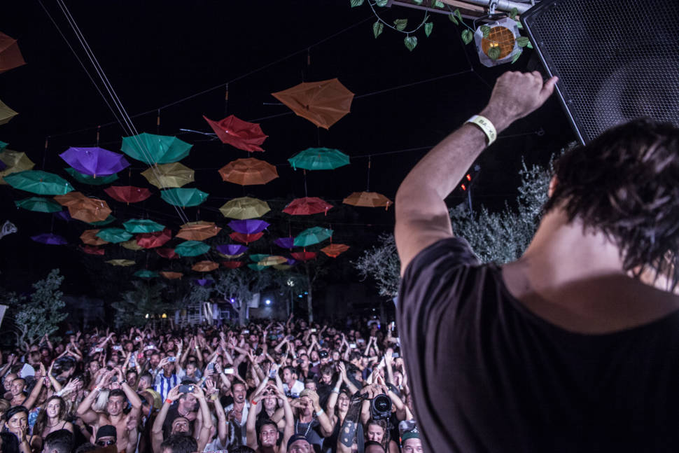 The Zoo Project in Ibiza - Best Time
