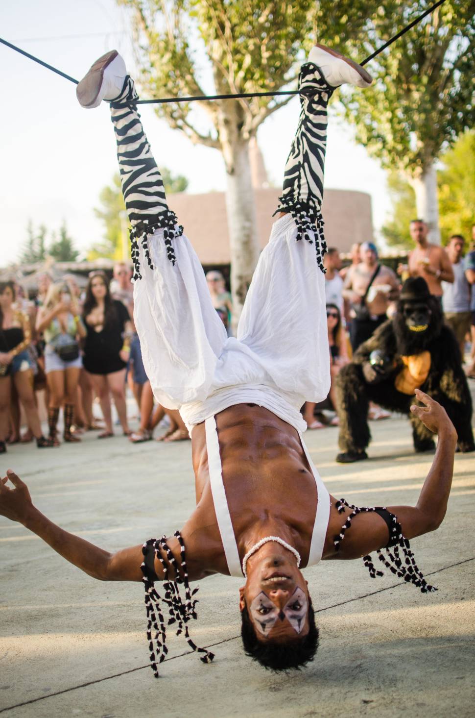 Best time for The Zoo Project in Ibiza