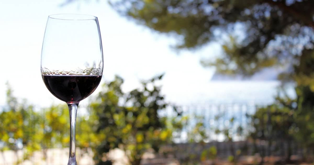 Wine Season and St. Mateu in Ibiza - Best Time