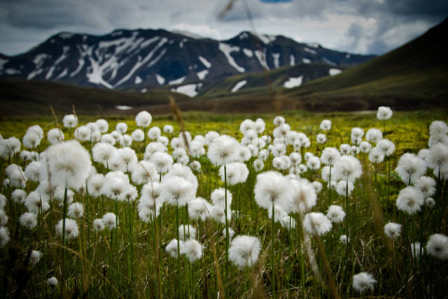 Best time to see Landmannalaugar in Iceland