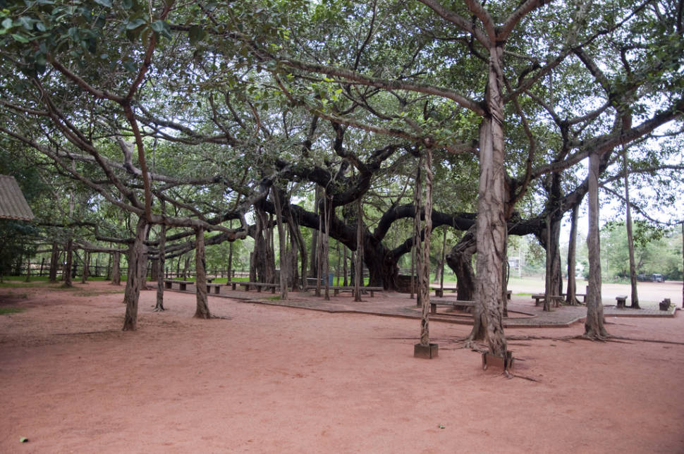 Best time for Auroville in India