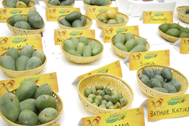 International Mango Festival in India - Best Time