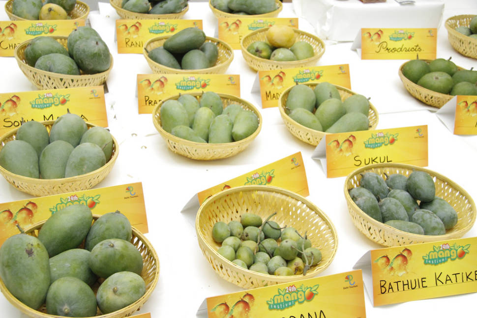 International Mango Festival in India - Best Time