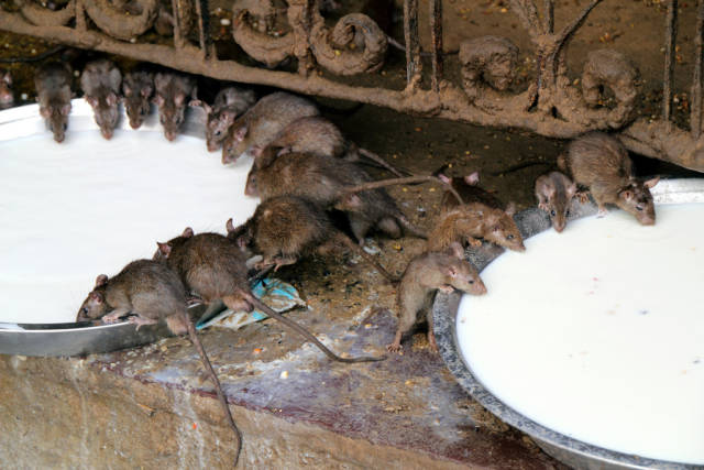 Breakfast time!