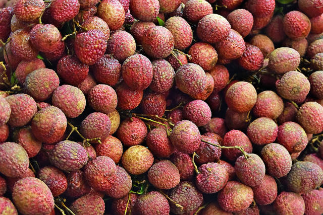 Litchi (Lychee) in India - Best Time