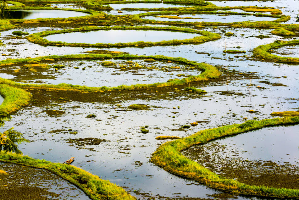 Loktak Lake in India - Best Season