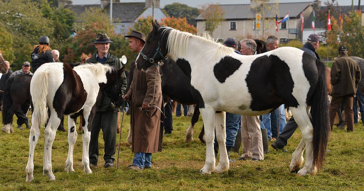 Ballinasloe Horse Fair in Ireland - Best Time