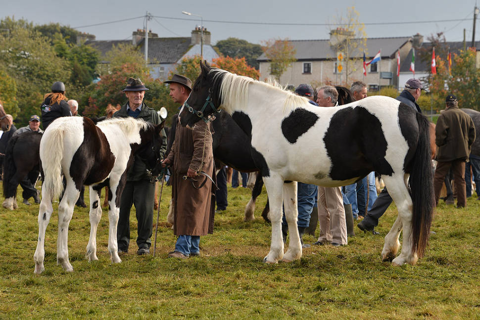 Ballinasloe Horse Fair in Ireland - Best Time