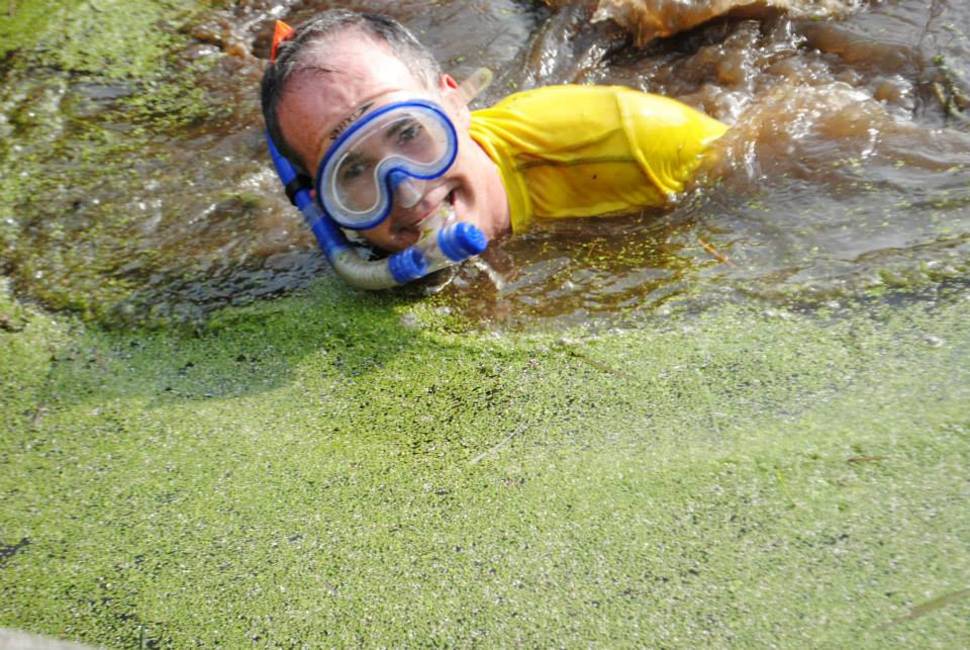 Irish Bog Snorkelling Championship in Ireland - Best Time