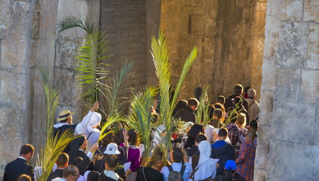 Palm Sunday in Israel - Best Time
