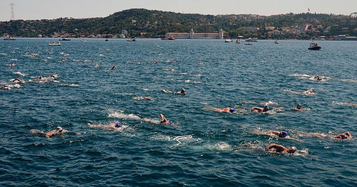 Bosphorus Cross Continental Swim in Istanbul - Best Time