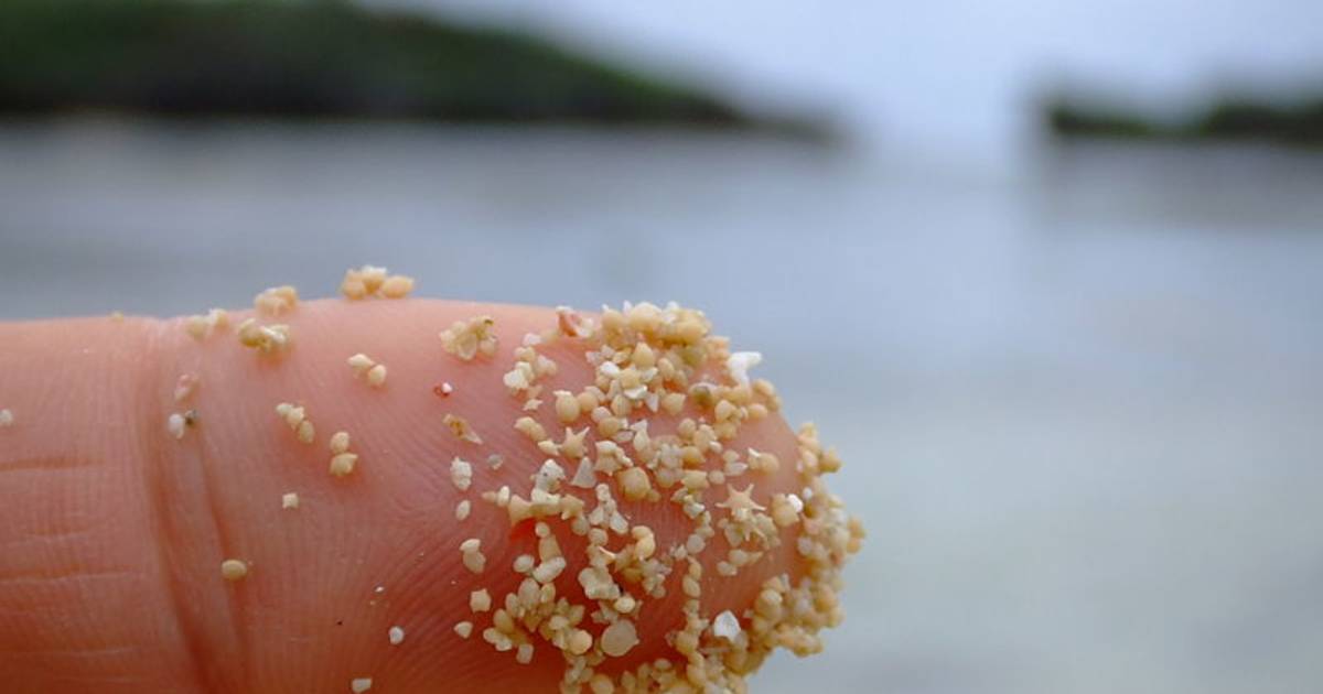 Star Sand Beach (Hoshizuna-no-Hama) in Japan - Best Time
