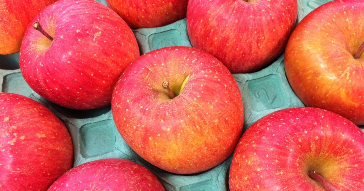 Fuji Apples in Japan - Best Time