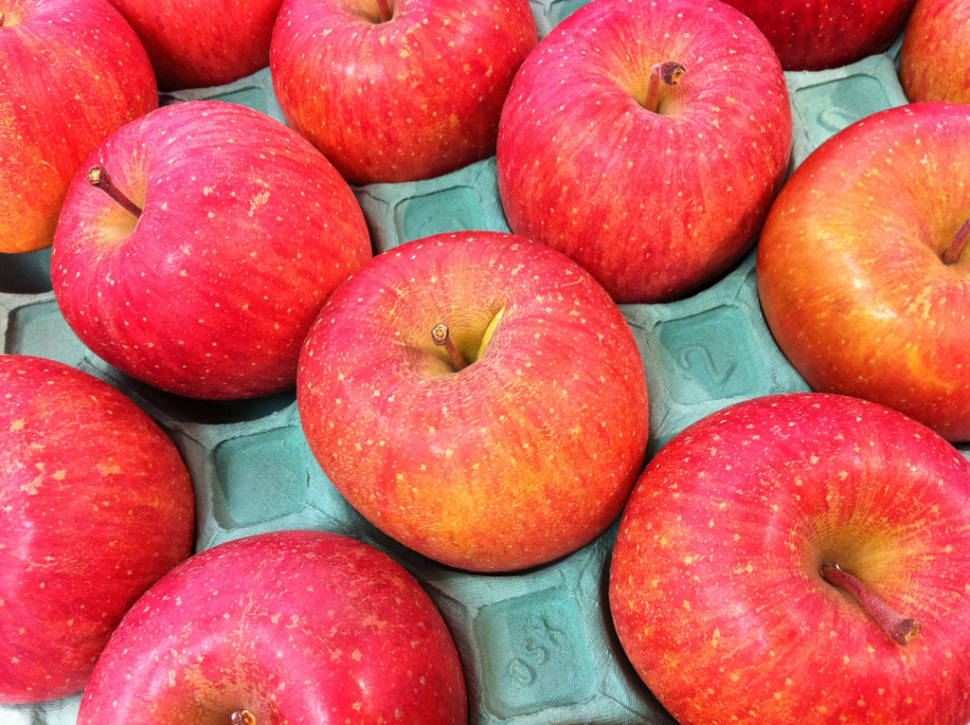 Fuji Apples in Japan - Best Time