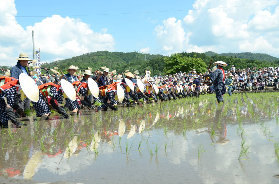 Best time for Mibu no Hana Taue in Japan
