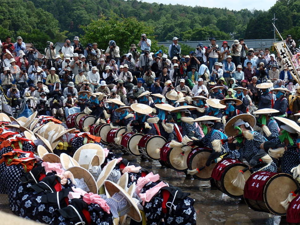 Mibu no Hana Taue in Japan - Best Time