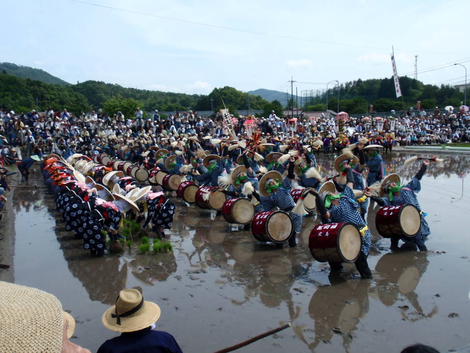 Mibu no Hana Taue in Japan - Best Season