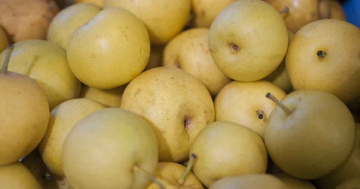 Nashi Pears in Japan - Best Time