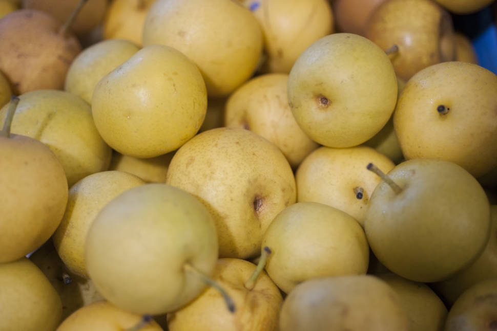 Nashi Pears in Japan - Best Time