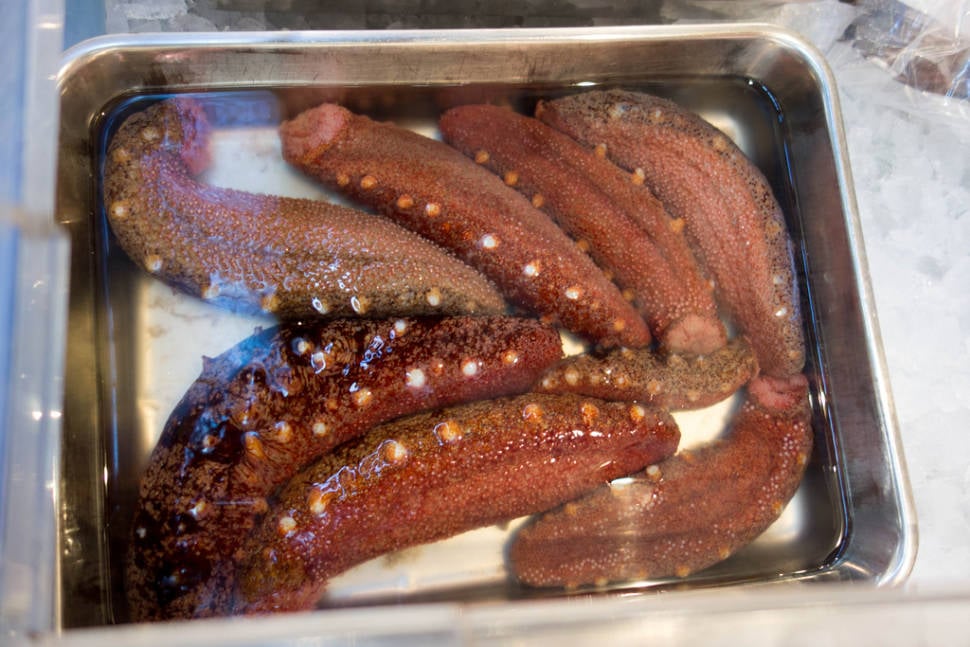 Sea Cucumber in Japan - Best Season