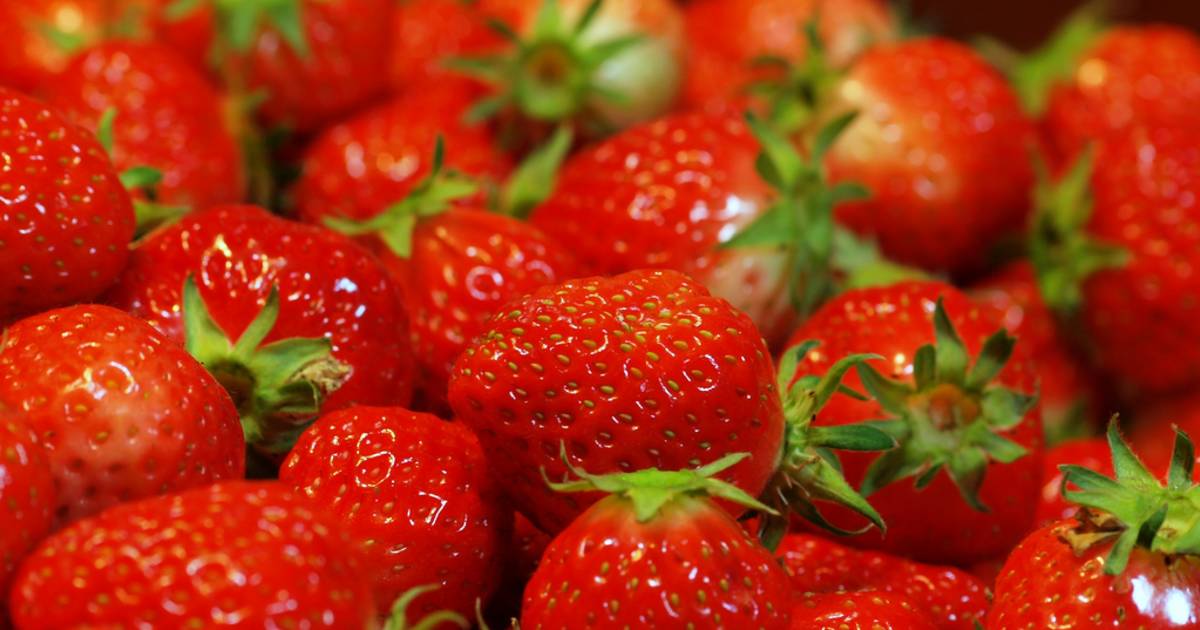 Strawberries in Japan - Best Time