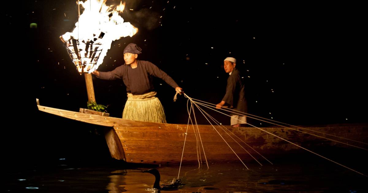 Cormorant Fishing in Japan - Best Time