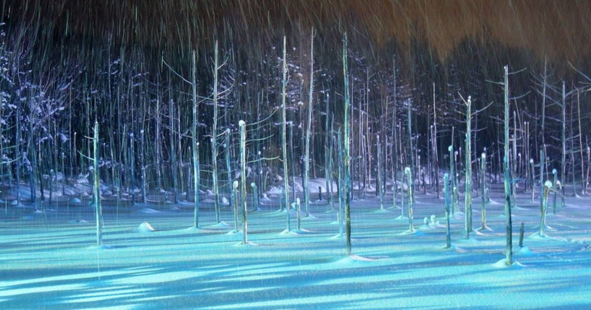 Winter Magic of Biei Blue Pond in Japan - Best Time