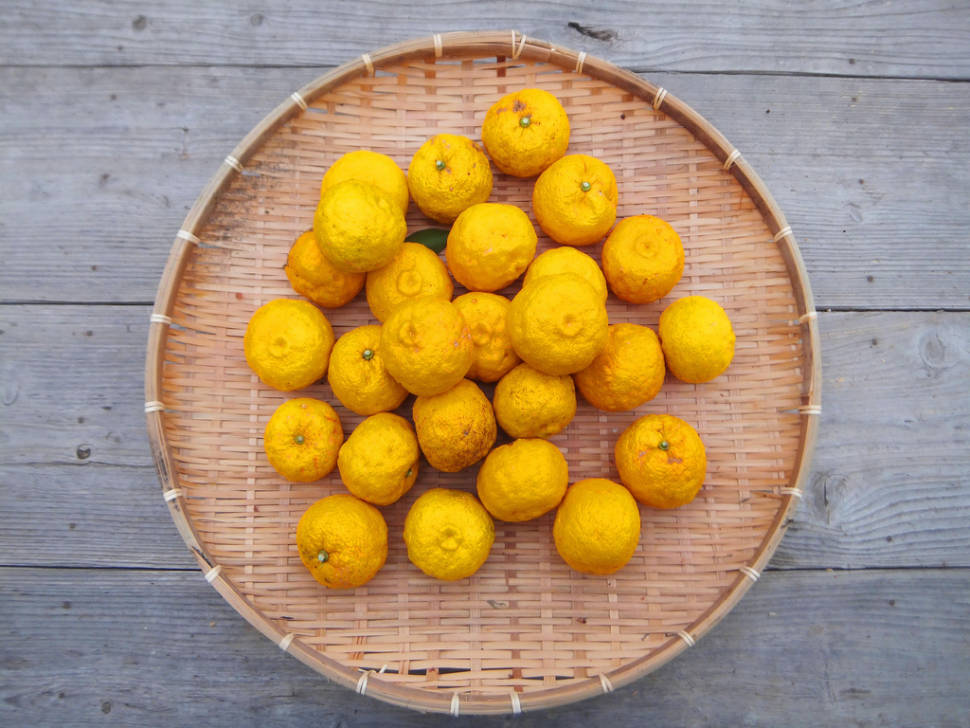 Yuzu in Japan - Best Time