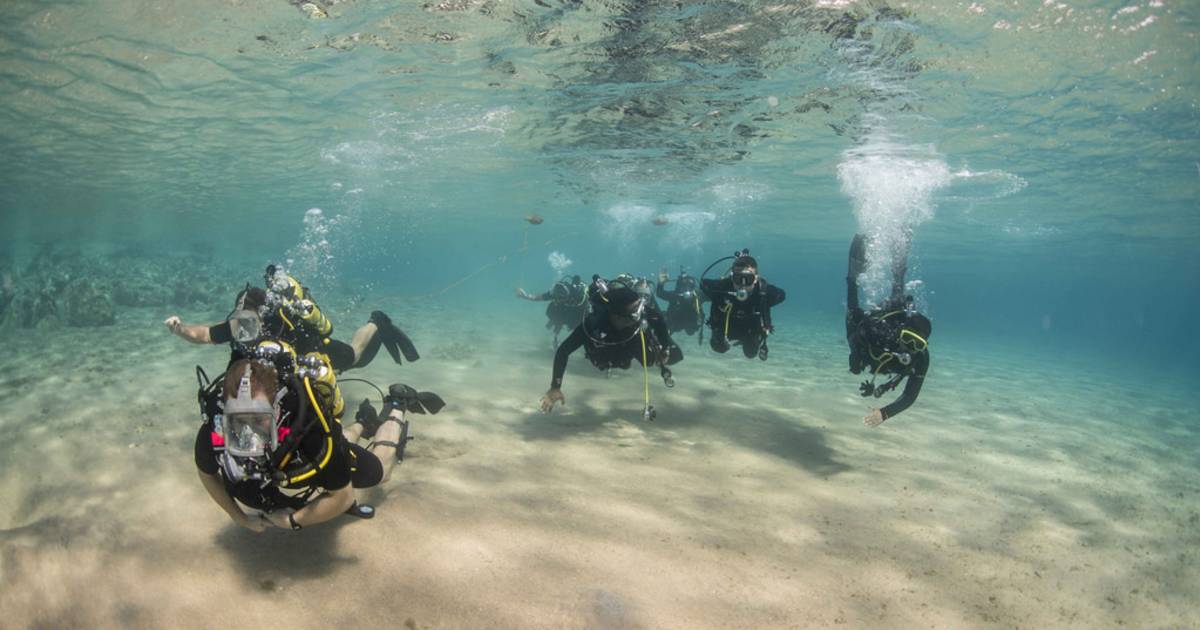 Aqaba Diving in Jordan - Best Time