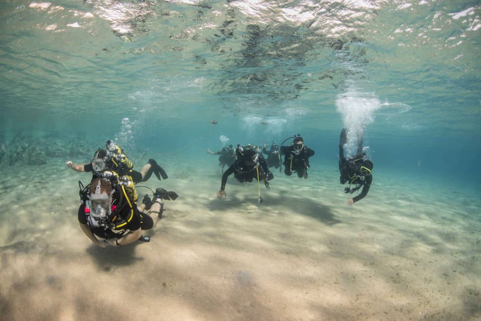 Aqaba Diving in Jordan - Best Time