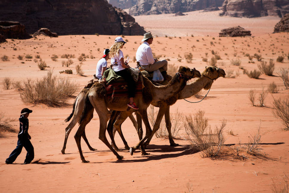Camel Safari in Jordan - Best Season