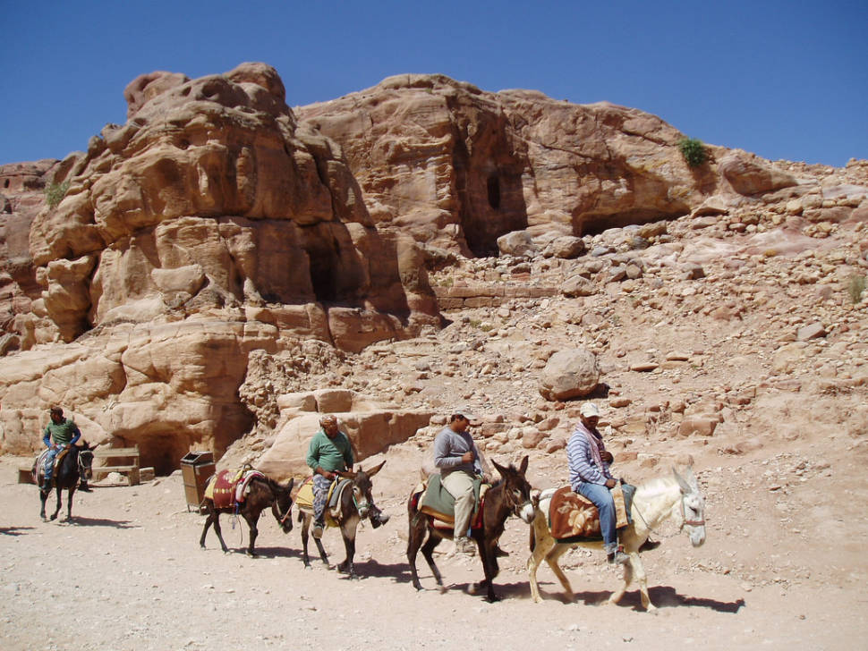 Best time for Donkey Ride in Jordan