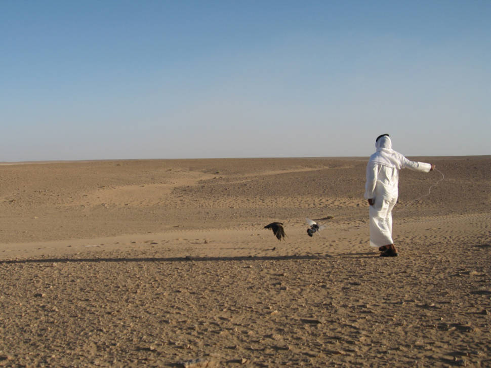 Falconry hunting season takes place annually by the local bedouin at Qa' al-Jafr