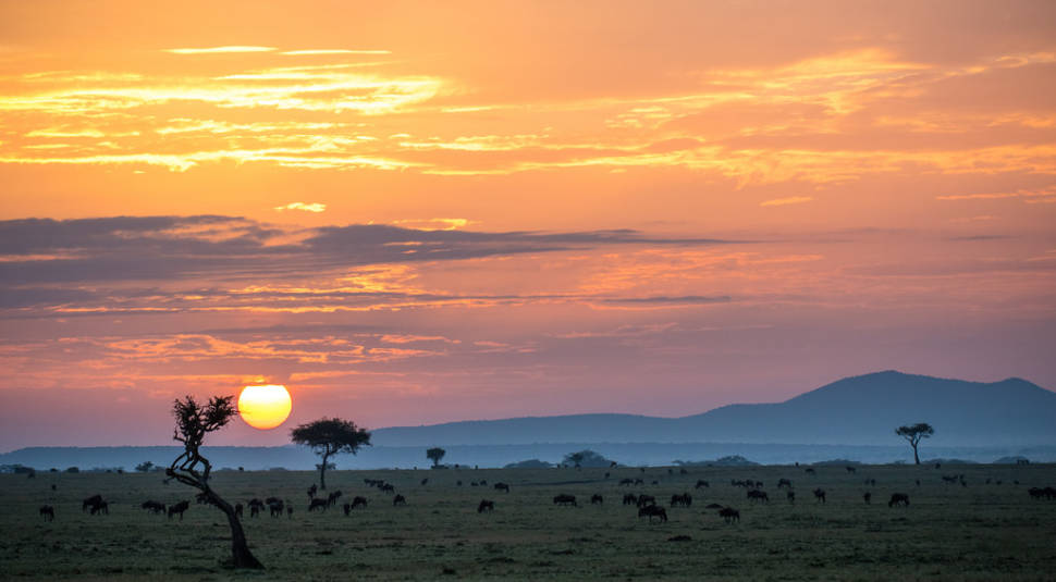 Dry Season in Kenya - Best Time