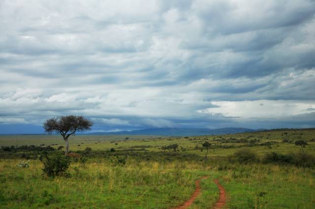 Wet Season in Kenya - Best Season
