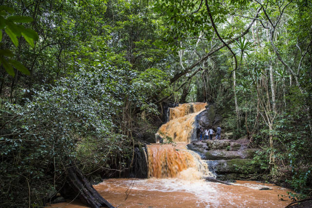 Wet Season in Kenya - Best Time