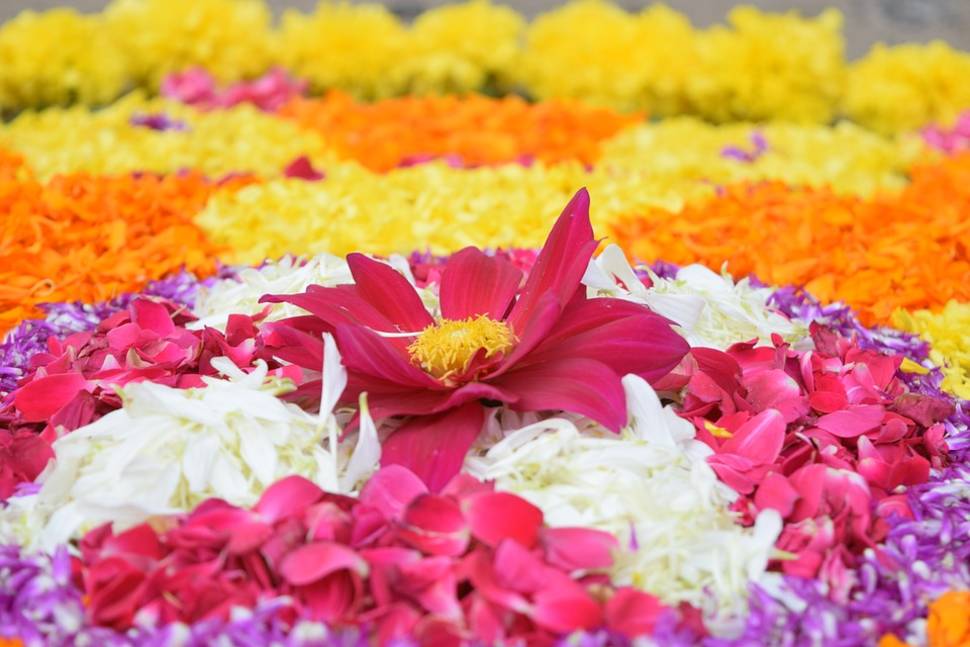 Onam Festival in Kerala - Best Time